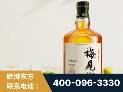莆田-梅见青梅酒